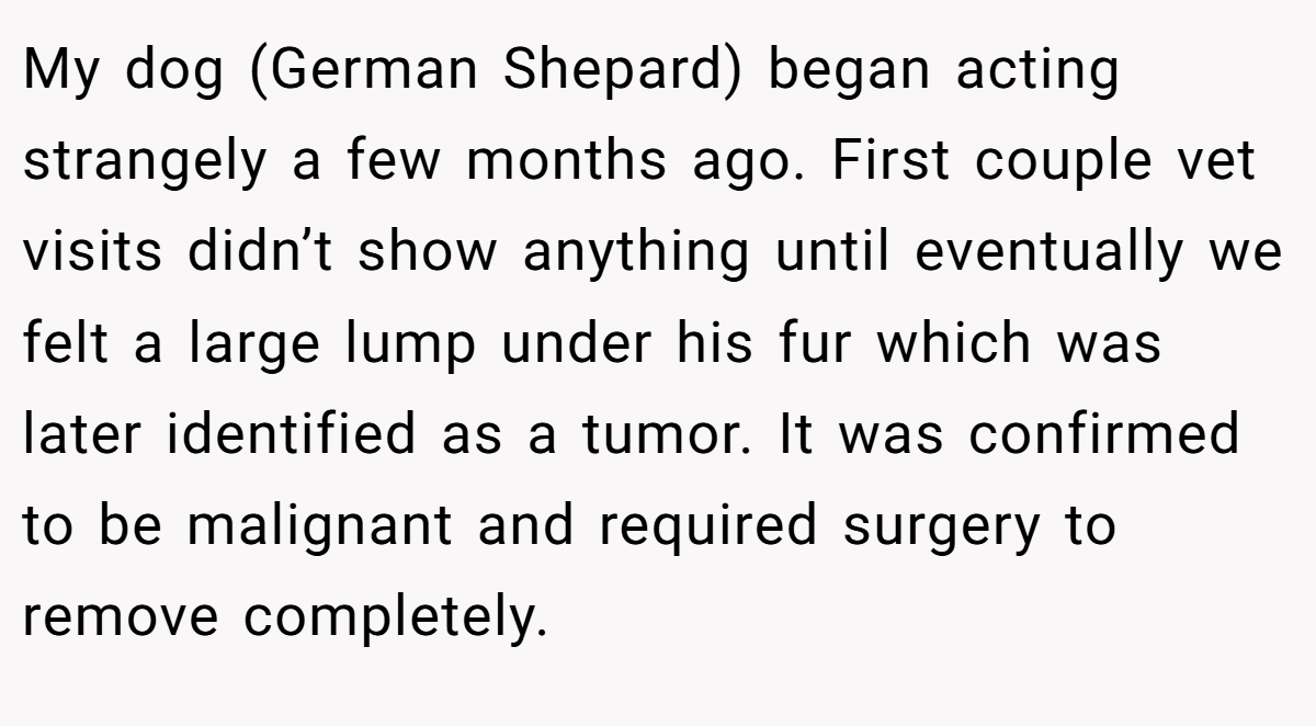 My dog (German Shepard) began acting strangely a few months ago. First couple vet visits didn’t show anything until eventually we felt a large lump under his fur which was later identified as a tumor. It was confirmed to be malignant and required surgery to remove completely.