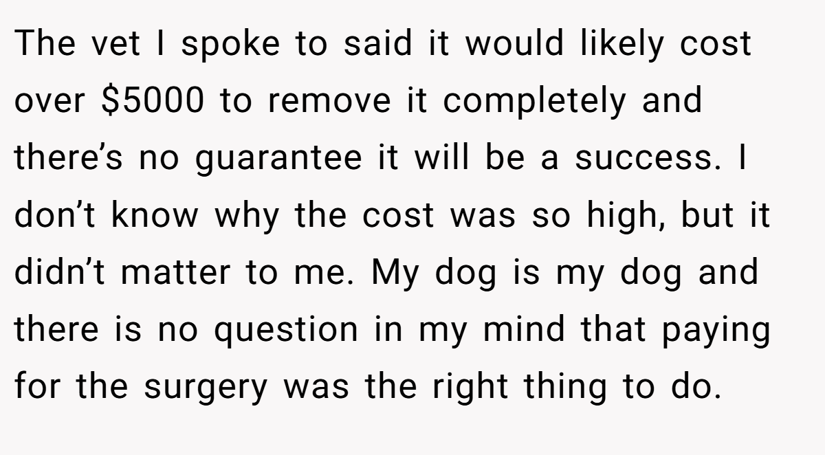 The vet I spoke to said it would likely cost over $5000 to remove it completely and there’s no guarantee it will be a success. I don’t know why the cost was so high, but it didn’t matter to me. My dog is my dog and there is no question in my mind that paying for the surgery was the right thing to do.