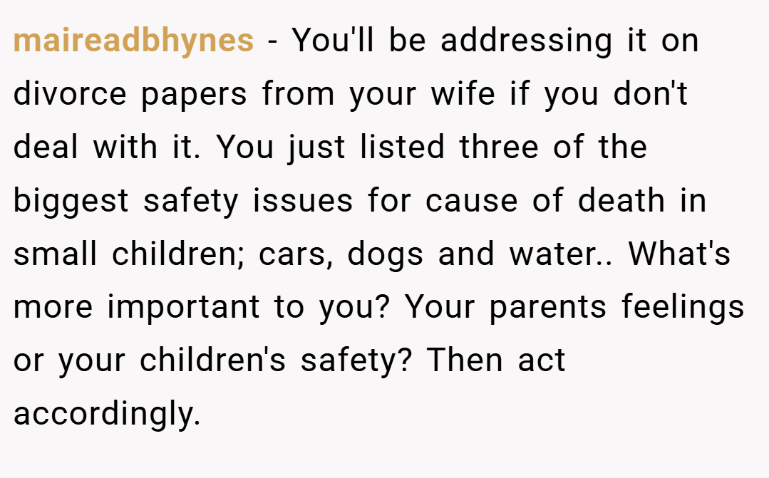 maireadbhynes − You'll be addressing it on divorce papers from your wife if you don't deal with it. You just listed three of the biggest safety issues for cause of death in small children; cars, dogs and water.. What's more important to you? Your parents feelings or your children's safety? Then act accordingly.