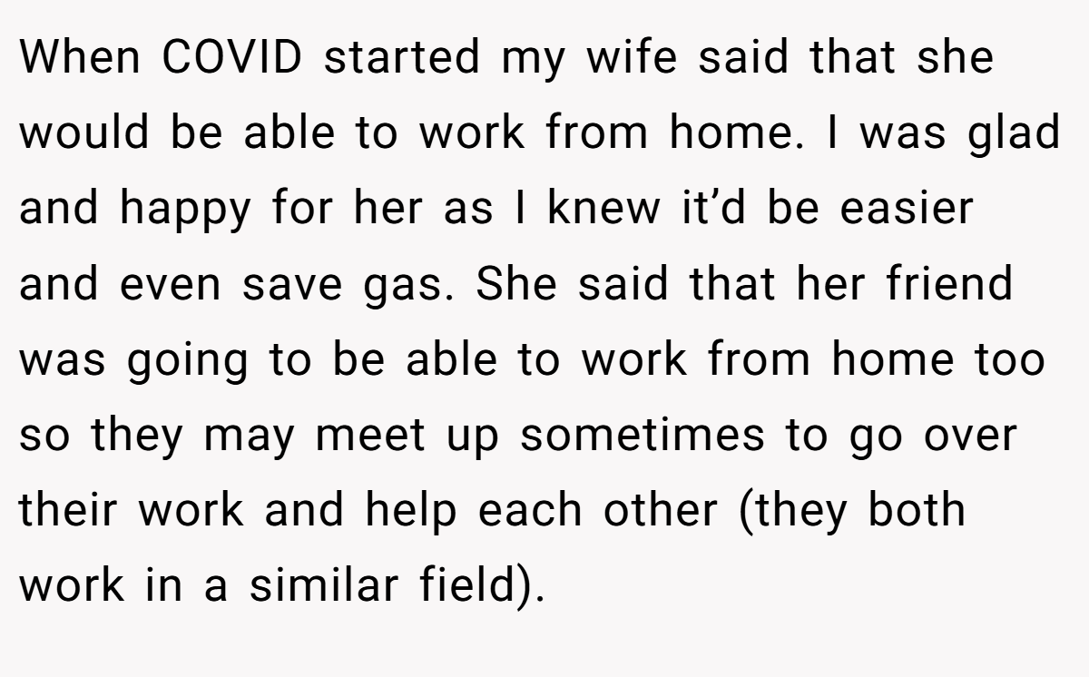 When COVID started my wife said that she would be able to work from home. I was glad and happy for her as I knew it’d be easier and even save gas. She said that her friend was going to be able to work from home too so they may meet up sometimes to go over their work and help each other (they both work in a similar field).
