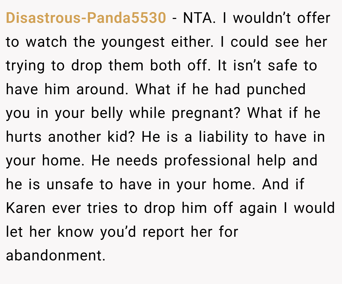 Disastrous-Panda5530 − NTA. I wouldn’t offer to watch the youngest either. I could see her trying to drop them both off. It isn’t safe to have him around. What if he had punched you in your belly while pregnant? What if he hurts another kid? He is a liability to have in your home. He needs professional help and he is unsafe to have in your home. And if Karen ever tries to drop him off again I would let her know you’d report her for abandonment.