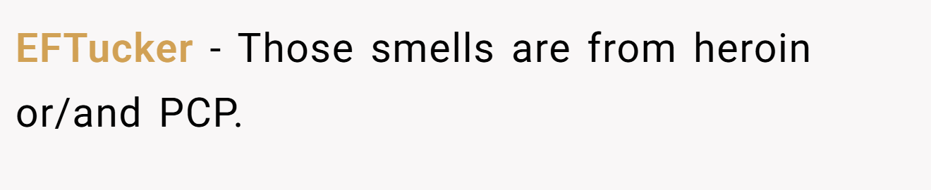 EFTucker − Those smells are from heroin or/and PCP.
