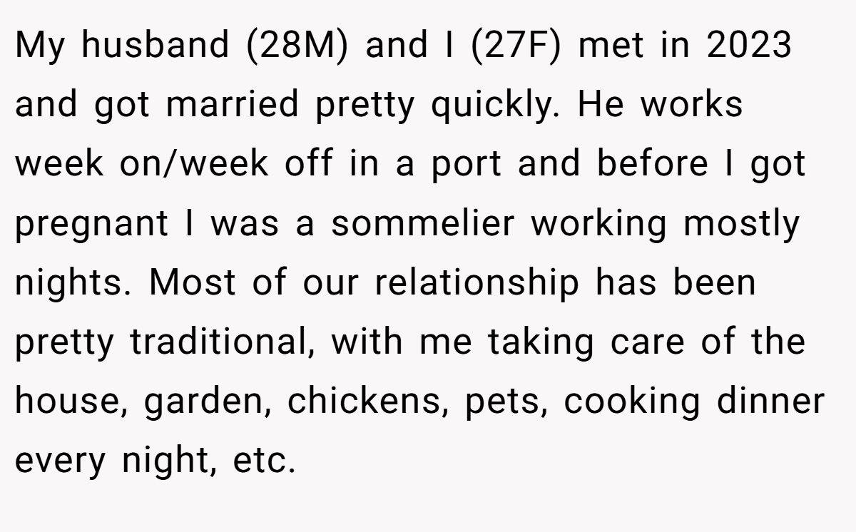 My husband (28M) and I (27F) met in 2023 and got married pretty quickly. He works week on/week off in a port and before I got pregnant I was a sommelier working mostly nights. Most of our relationship has been pretty traditional, with me taking care of the house, garden, chickens, pets, cooking dinner every night, etc.