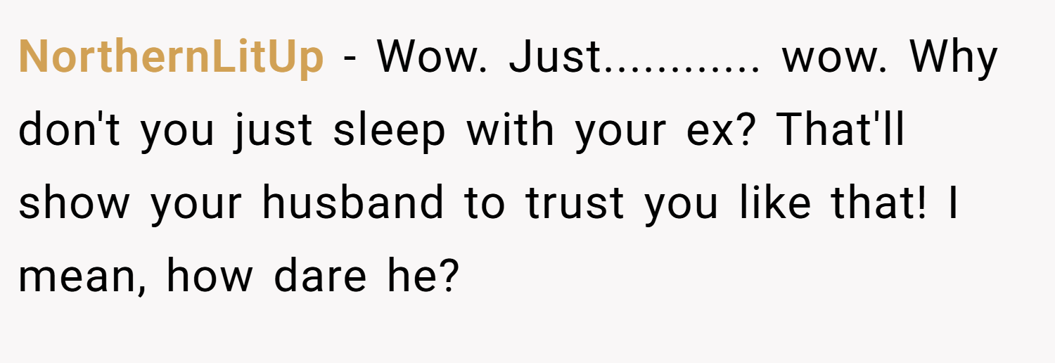 NorthernLitUp − Wow. Just............ wow. Why don't you just sleep with your ex? That'll show your husband to trust you like that! I mean, how dare he?