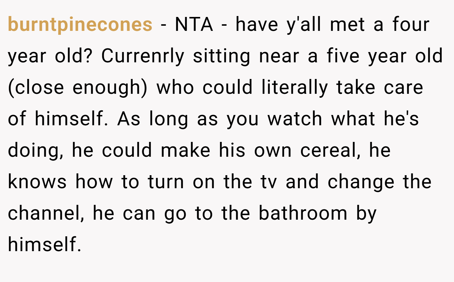 burntpinecones − NTA - have y'all met a four year old? Currenrly sitting near a five year old (close enough) who could literally take care of himself. As long as you watch what he's doing, he could make his own cereal, he knows how to turn on the tv and change the channel, he can go to the bathroom by himself.