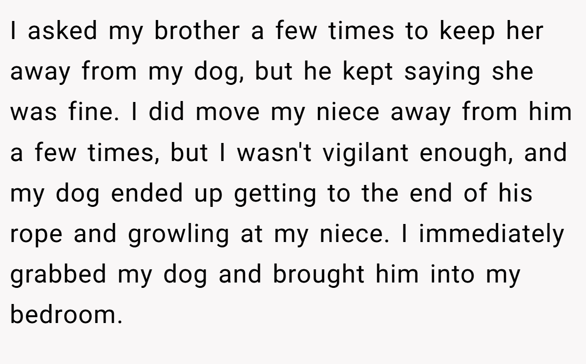 I asked my brother a few times to keep her away from my dog, but he kept saying she was fine. I did move my niece away from him a few times, but I wasn't vigilant enough, and my dog ended up getting to the end of his rope and growling at my niece. I immediately grabbed my dog and brought him into my bedroom.