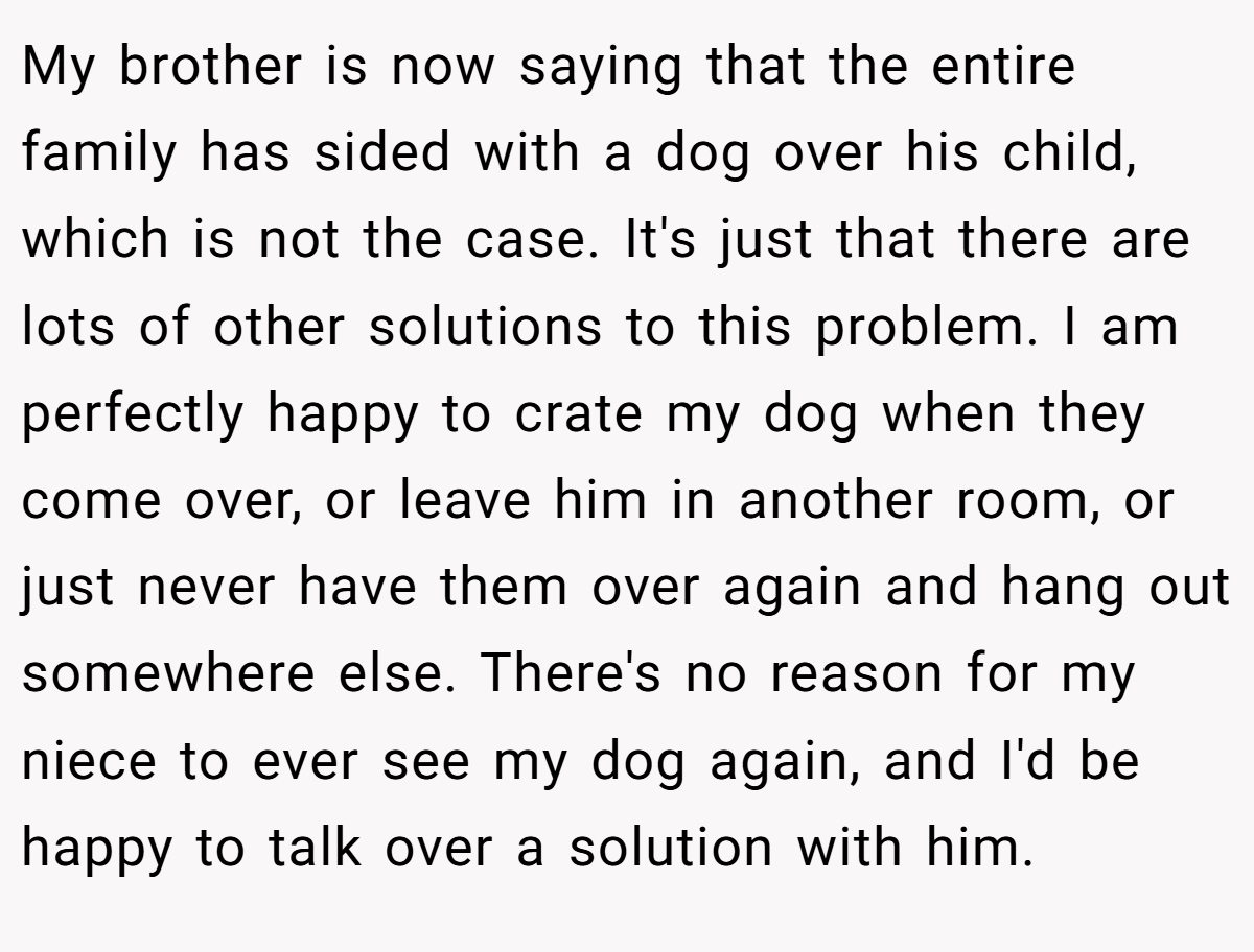 My brother is now saying that the entire family has sided with a dog over his child, which is not the case. It's just that there are lots of other solutions to this problem. I am perfectly happy to crate my dog when they come over, or leave him in another room, or just never have them over again and hang out somewhere else. There's no reason for my niece to ever see my dog again, and I'd be happy to talk over a solution with him.