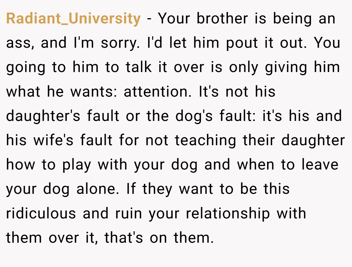 Radiant_University − Your brother is being an ass, and I'm sorry. I'd let him pout it out. You going to him to talk it over is only giving him what he wants: attention. It's not his daughter's fault or the dog's fault: it's his and his wife's fault for not teaching their daughter how to play with your dog and when to leave your dog alone. If they want to be this ridiculous and ruin your relationship with them over it, that's on them.