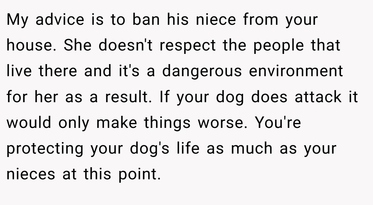 My advice is to ban his niece from your house. She doesn't respect the people that live there and it's a dangerous environment for her as a result. If your dog does attack it would only make things worse. You're protecting your dog's life as much as your nieces at this point.