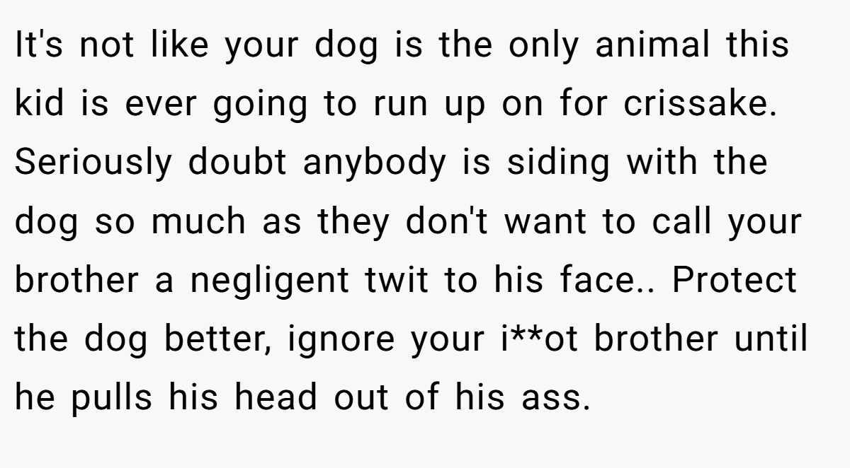 It's not like your dog is the only animal this kid is ever going to run up on for crissake. Seriously doubt anybody is siding with the dog so much as they don't want to call your brother a negligent twit to his face.. Protect the dog better, ignore your i**ot brother until he pulls his head out of his ass.