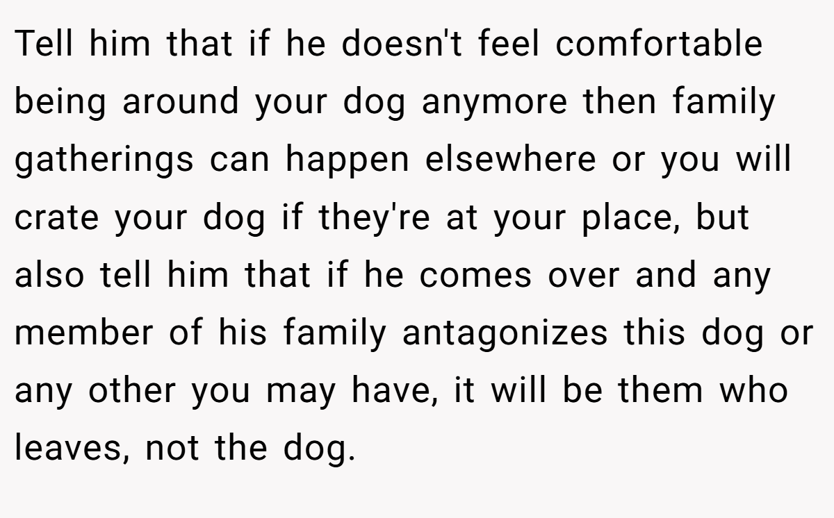 Tell him that if he doesn't feel comfortable being around your dog anymore then family gatherings can happen elsewhere or you will crate your dog if they're at your place, but also tell him that if he comes over and any member of his family antagonizes this dog or any other you may have, it will be them who leaves, not the dog.