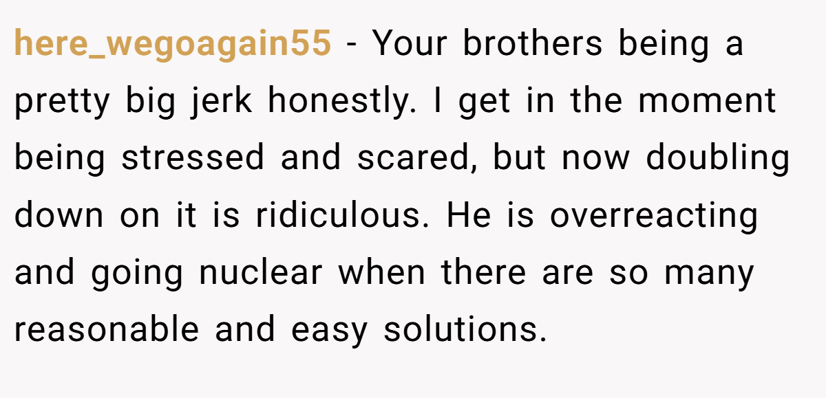 here_wegoagain55 − Your brothers being a pretty big jerk honestly. I get in the moment being stressed and scared, but now doubling down on it is ridiculous. He is overreacting and going nuclear when there are so many reasonable and easy solutions.
