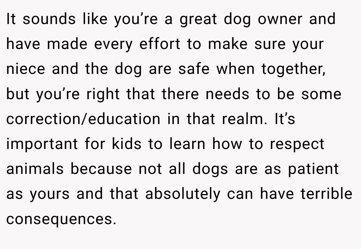 It sounds like you’re a great dog owner and have made every effort to make sure your niece and the dog are safe when together, but you’re right that there needs to be some correction/education in that realm. It’s important for kids to learn how to respect animals because not all dogs are as patient as yours and that absolutely can have terrible consequences.