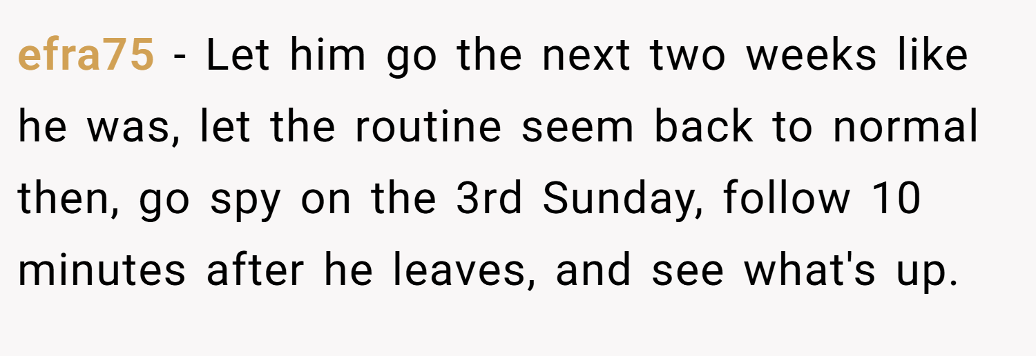 efra75 − Let him go the next two weeks like he was, let the routine seem back to normal then, go spy on the 3rd Sunday, follow 10 minutes after he leaves, and see what's up.