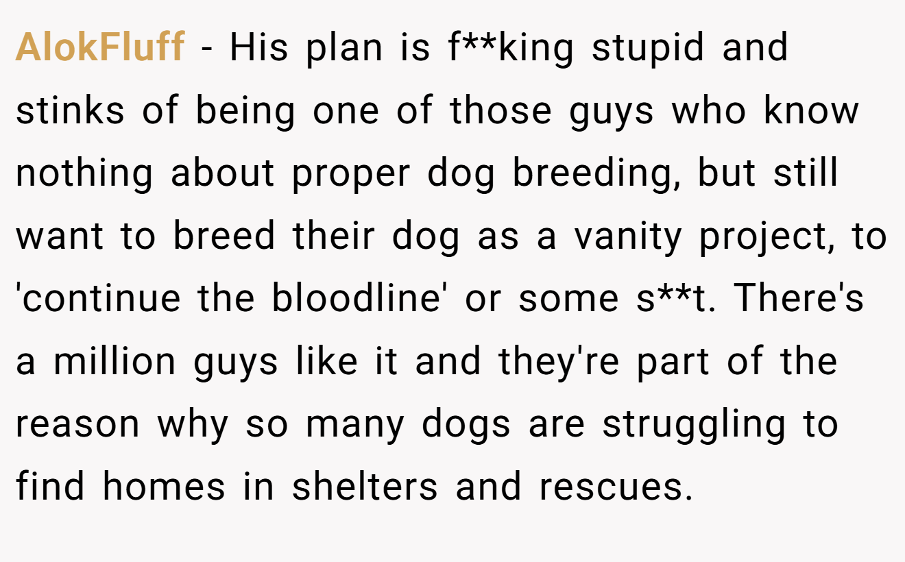 AlokFluff − His plan is f**king stupid and stinks of being one of those guys who know nothing about proper dog breeding, but still want to breed their dog as a vanity project, to 'continue the bloodline' or some s**t. There's a million guys like it and they're part of the reason why so many dogs are struggling to find homes in shelters and rescues. 
