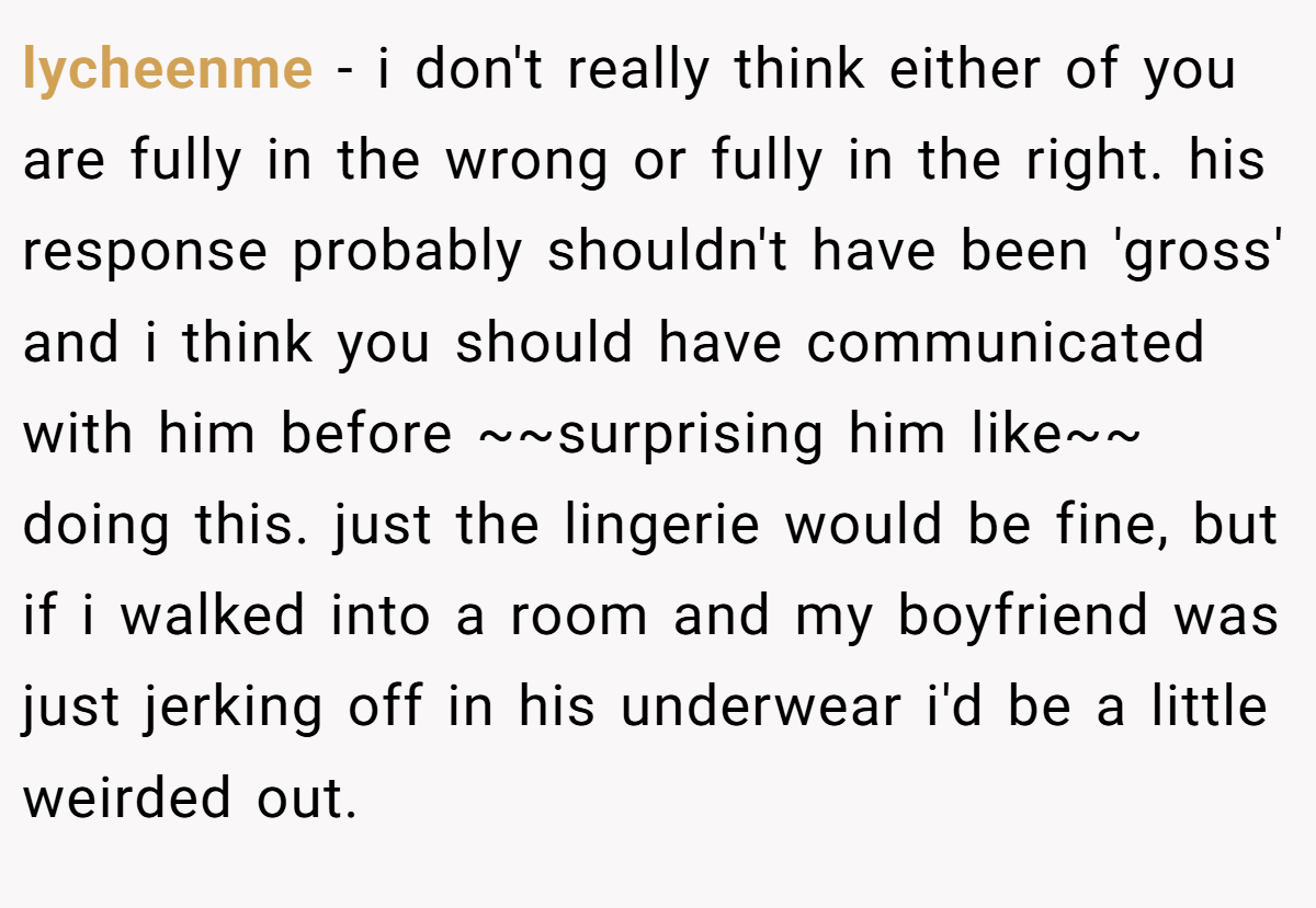 lycheenme − i don't really think either of you are fully in the wrong or fully in the right. his response probably shouldn't have been 'gross' and i think you should have communicated with him before ~~surprising him like~~ doing this. just the lingerie would be fine, but if i walked into a room and my boyfriend was just jerking off in his underwear i'd be a little weirded out.
