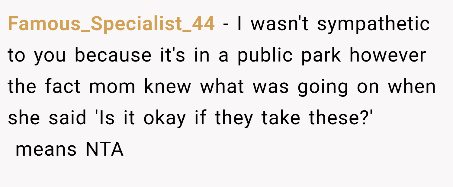 Famous_Specialist_44 − I wasn't sympathetic to you because it's in a public park however the fact mom knew what was going on when she said 'Is it okay if they take these?'   means NTA 