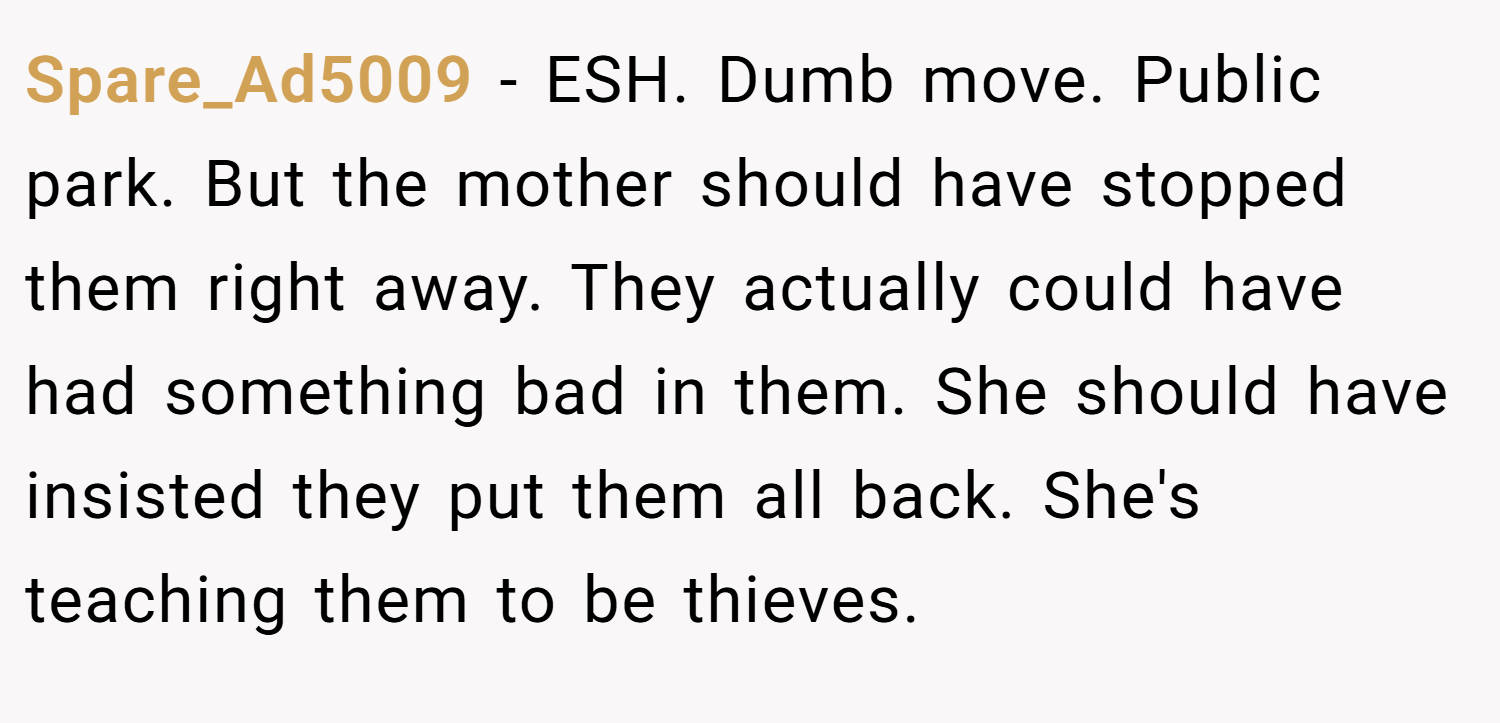 Spare_Ad5009 − ESH. Dumb move. Public park. But the mother should have stopped them right away. They actually could have had something bad in them. She should have insisted they put them all back. She's teaching them to be thieves.