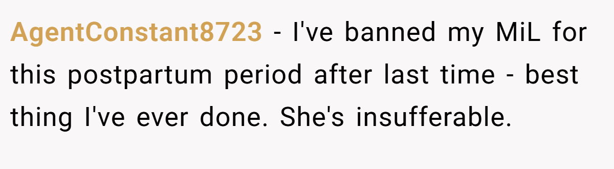 AgentConstant8723 − I've banned my MiL for this postpartum period after last time - best thing I've ever done. She's insufferable.