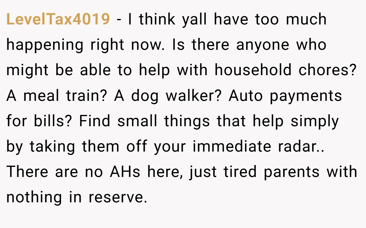 LevelTax4019 − I think yall have too much happening right now. Is there anyone who might be able to help with household chores? A meal train? A dog walker? Auto payments for bills? Find small things that help simply by taking them off your immediate radar.. There are no AHs here, just tired parents with nothing in reserve.