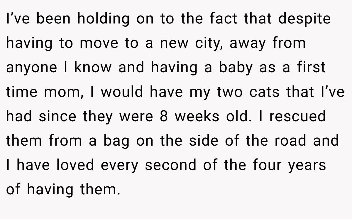 I’ve been holding on to the fact that despite having to move to a new city, away from anyone I know and having a baby as a first time mom, I would have my two cats that I’ve had since they were 8 weeks old. I rescued them from a bag on the side of the road and I have loved every second of the four years of having them.