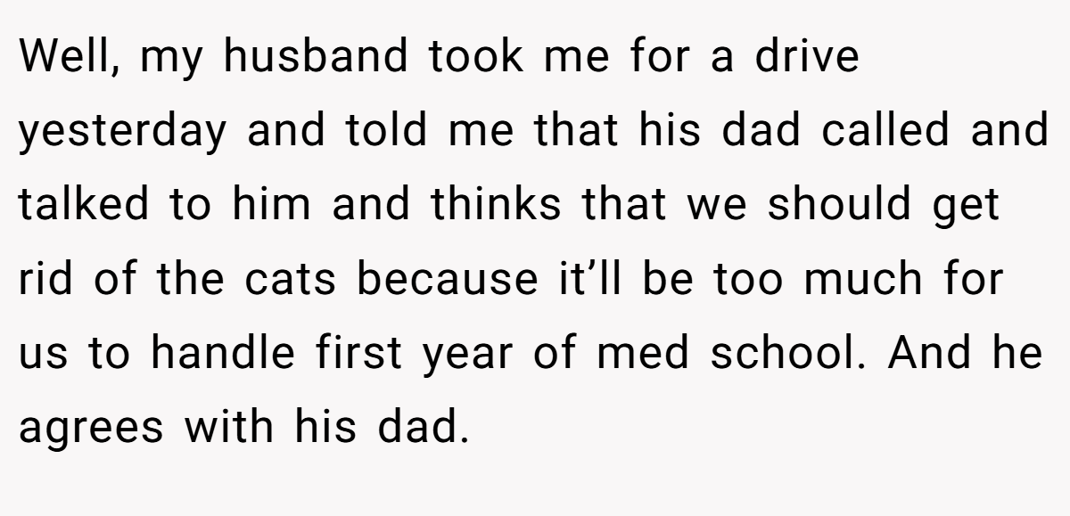 Well, my husband took me for a drive yesterday and told me that his dad called and talked to him and thinks that we should get rid of the cats because it’ll be too much for us to handle first year of med school. And he agrees with his dad.