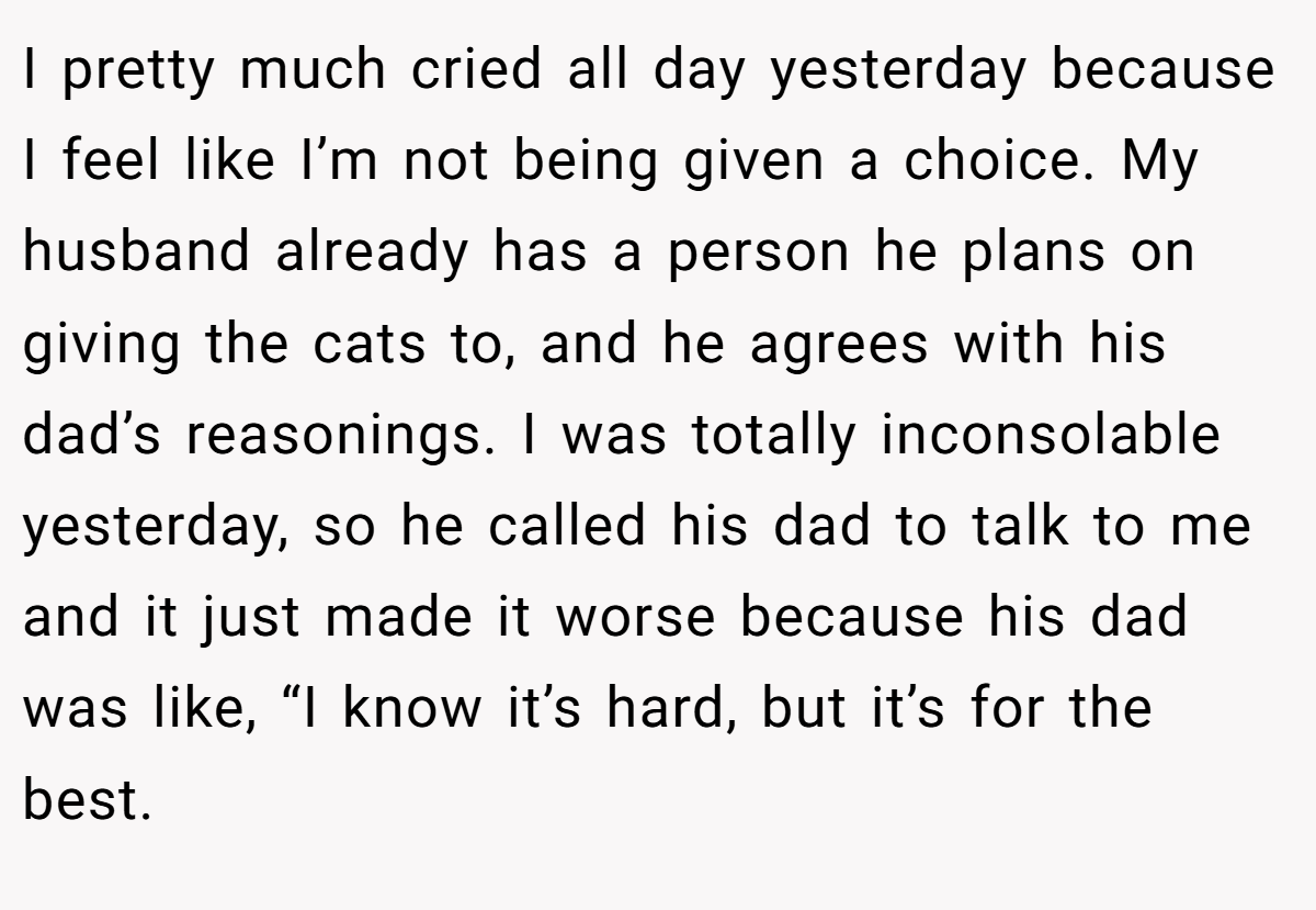 I pretty much cried all day yesterday because I feel like I’m not being given a choice. My husband already has a person he plans on giving the cats to, and he agrees with his dad’s reasonings. I was totally inconsolable yesterday, so he called his dad to talk to me and it just made it worse because his dad was like, “I know it’s hard, but it’s for the best.