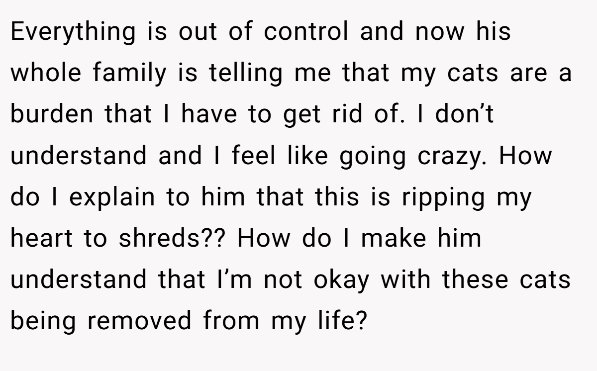 Everything is out of control and now his whole family is telling me that my cats are a burden that I have to get rid of. I don’t understand and I feel like going crazy. How do I explain to him that this is ripping my heart to shreds?? How do I make him understand that I’m not okay with these cats being removed from my life?