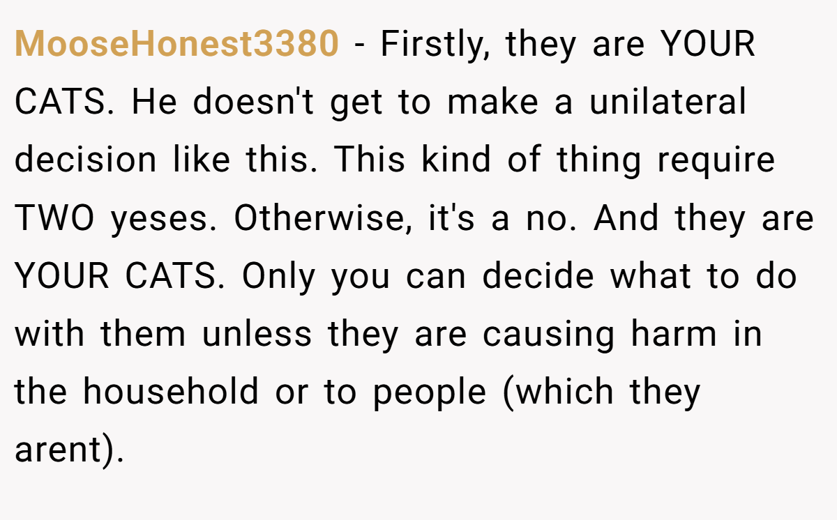 MooseHonest3380 − Firstly, they are YOUR CATS. He doesn't get to make a unilateral decision like this. This kind of thing require TWO yeses. Otherwise, it's a no. And they are YOUR CATS. Only you can decide what to do with them unless they are causing harm in the household or to people (which they arent).