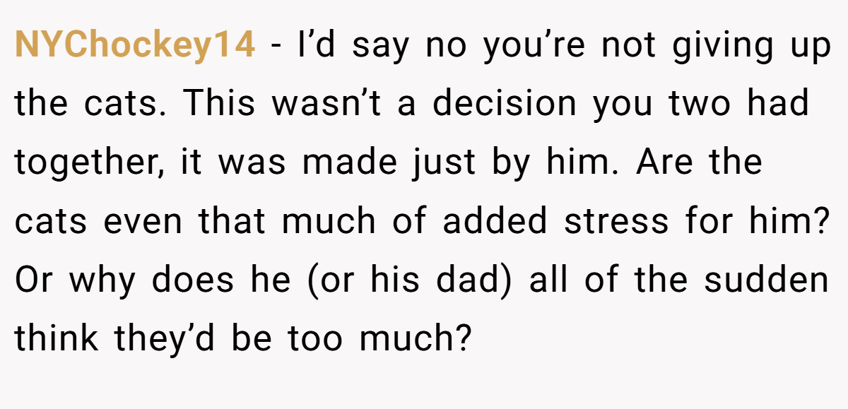 NYChockey14 − I’d say no you’re not giving up the cats. This wasn’t a decision you two had together, it was made just by him. Are the cats even that much of added stress for him? Or why does he (or his dad) all of the sudden think they’d be too much?