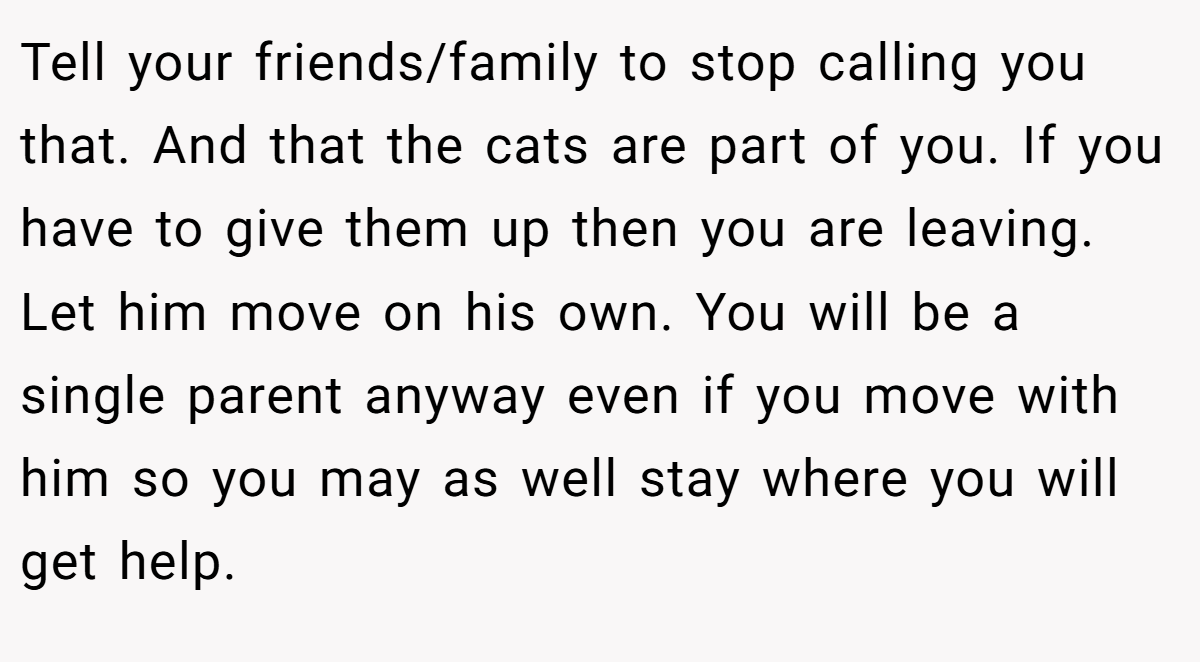 Tell your friends/family to stop calling you that. And that the cats are part of you. If you have to give them up then you are leaving. Let him move on his own. You will be a single parent anyway even if you move with him so you may as well stay where you will get help.
