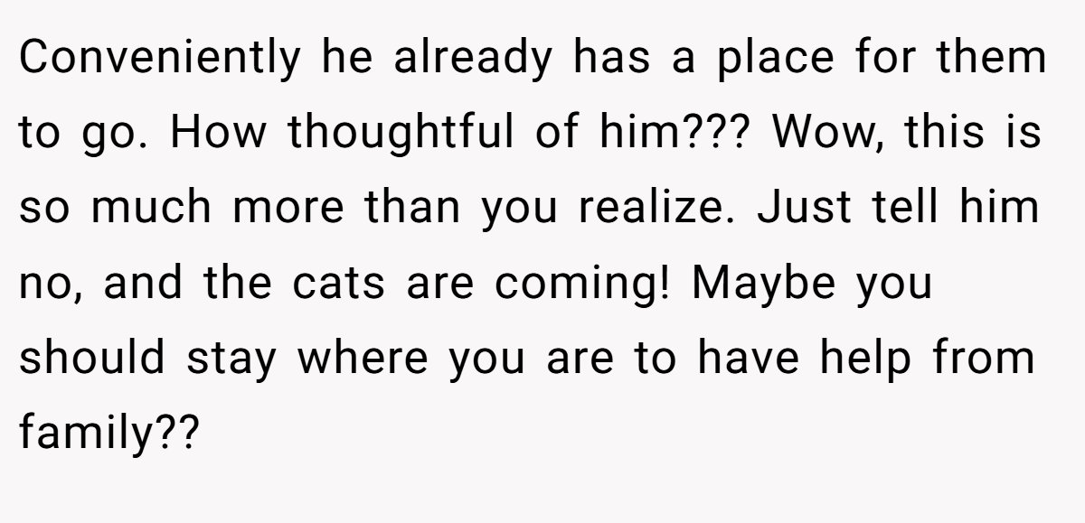 Conveniently he already has a place for them to go. How thoughtful of him??? Wow, this is so much more than you realize. Just tell him no, and the cats are coming! Maybe you should stay where you are to have help from family??