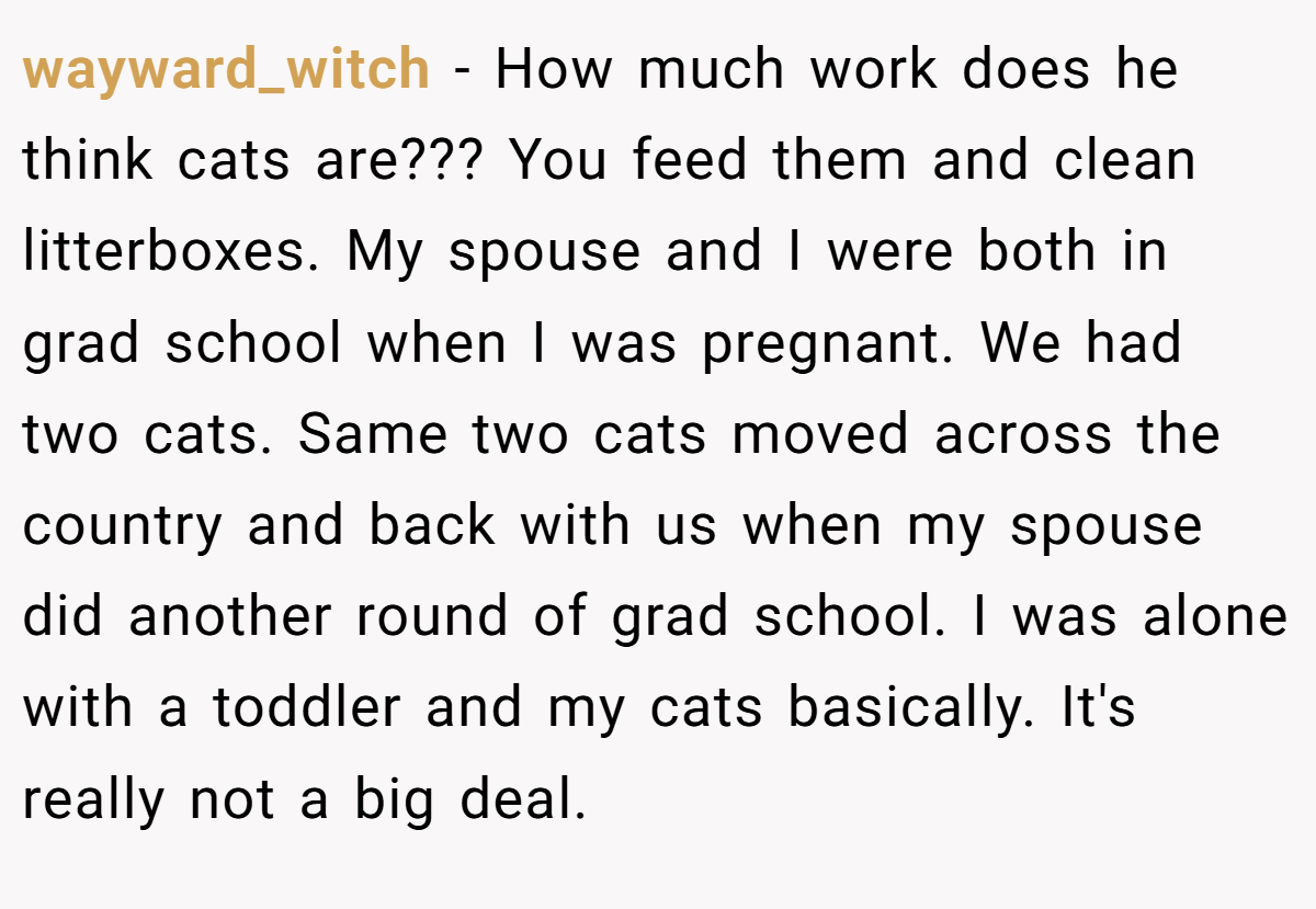 wayward_witch − How much work does he think cats are??? You feed them and clean litterboxes. My spouse and I were both in grad school when I was pregnant. We had two cats. Same two cats moved across the country and back with us when my spouse did another round of grad school. I was alone with a toddler and my cats basically. It's really not a big deal.