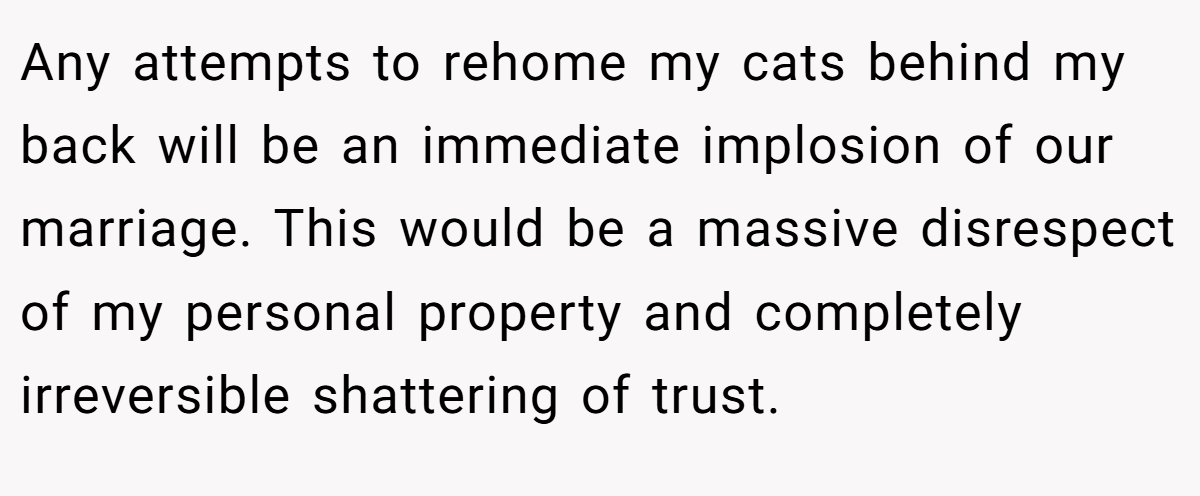 Any attempts to rehome my cats behind my back will be an immediate implosion of our marriage. This would be a massive disrespect of my personal property and completely irreversible shattering of trust.