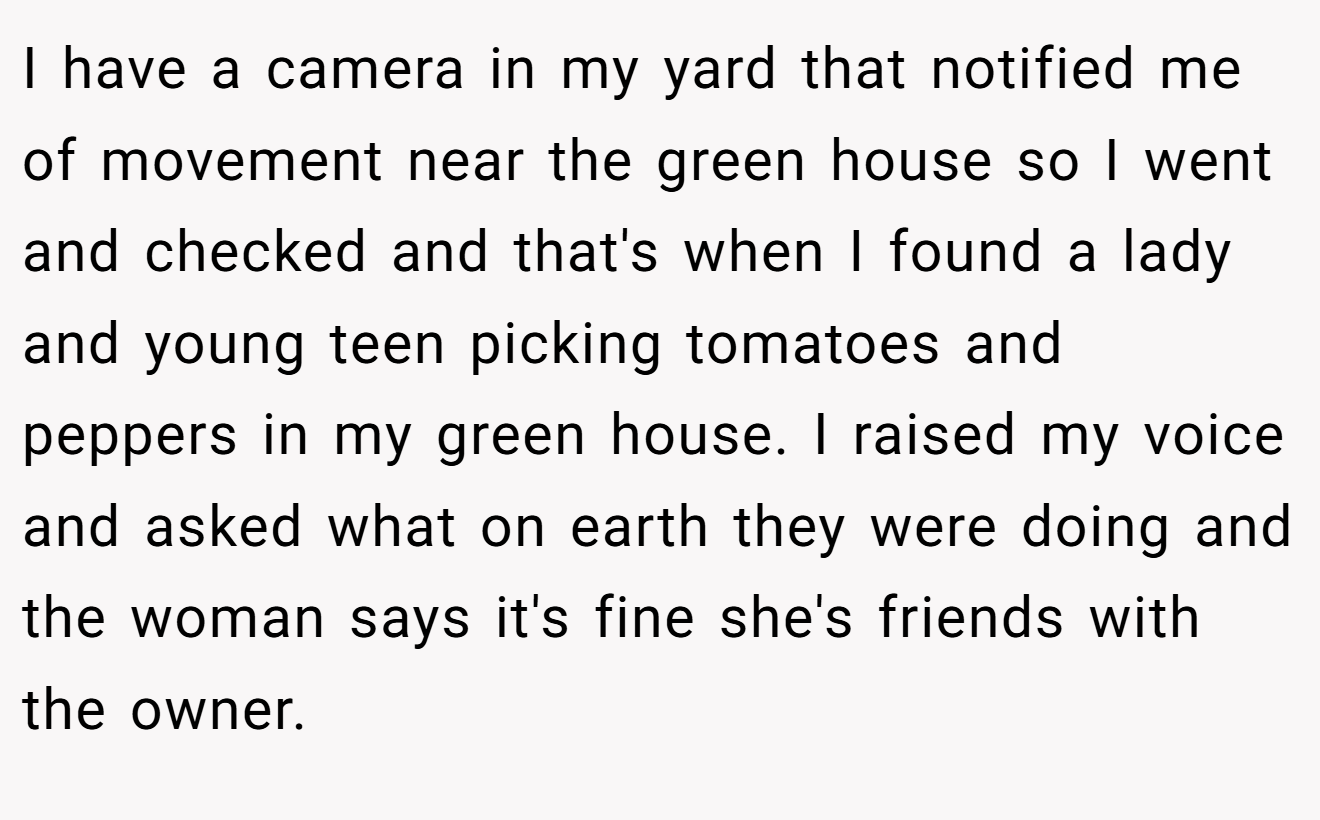 I have a camera in my yard that notified me of movement near the green house so I went and checked and that's when I found a lady and young teen picking tomatoes and peppers in my green house. I raised my voice and asked what on earth they were doing and the woman says it's fine she's friends with the owner.