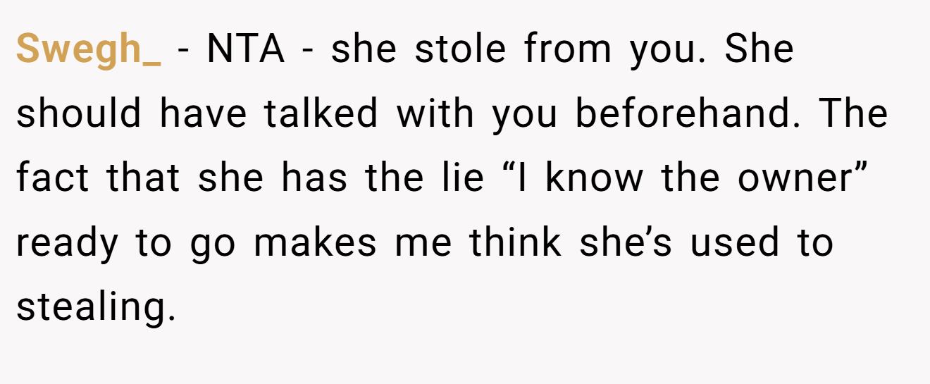 Swegh_ − NTA - she stole from you. She should have talked with you beforehand. The fact that she has the lie “I know the owner” ready to go makes me think she’s used to stealing.