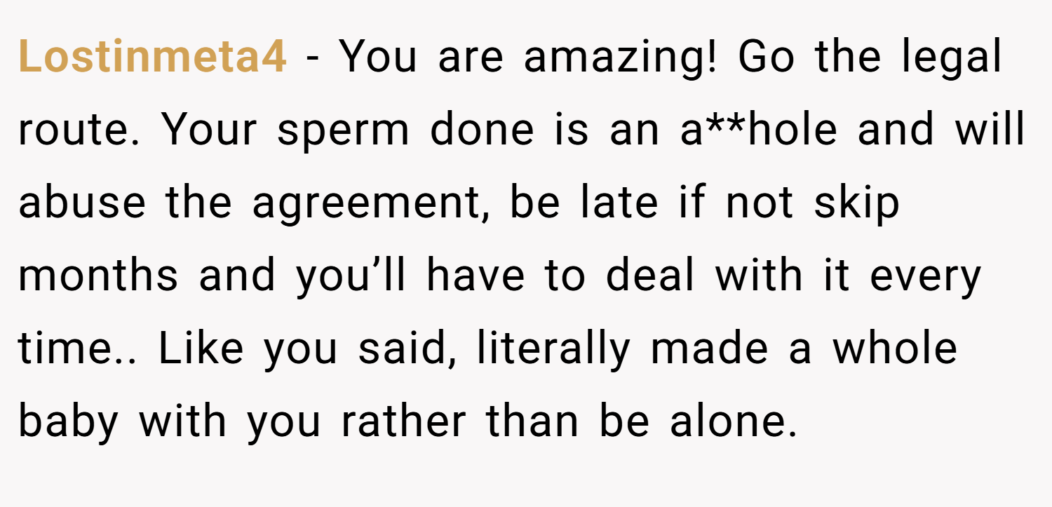 Lostinmeta4 − You are amazing! Go the legal route. Your sperm done is an a**hole and will abuse the agreement, be late if not skip months and you’ll have to deal with it every time.. Like you said, literally made a whole baby with you rather than be alone.