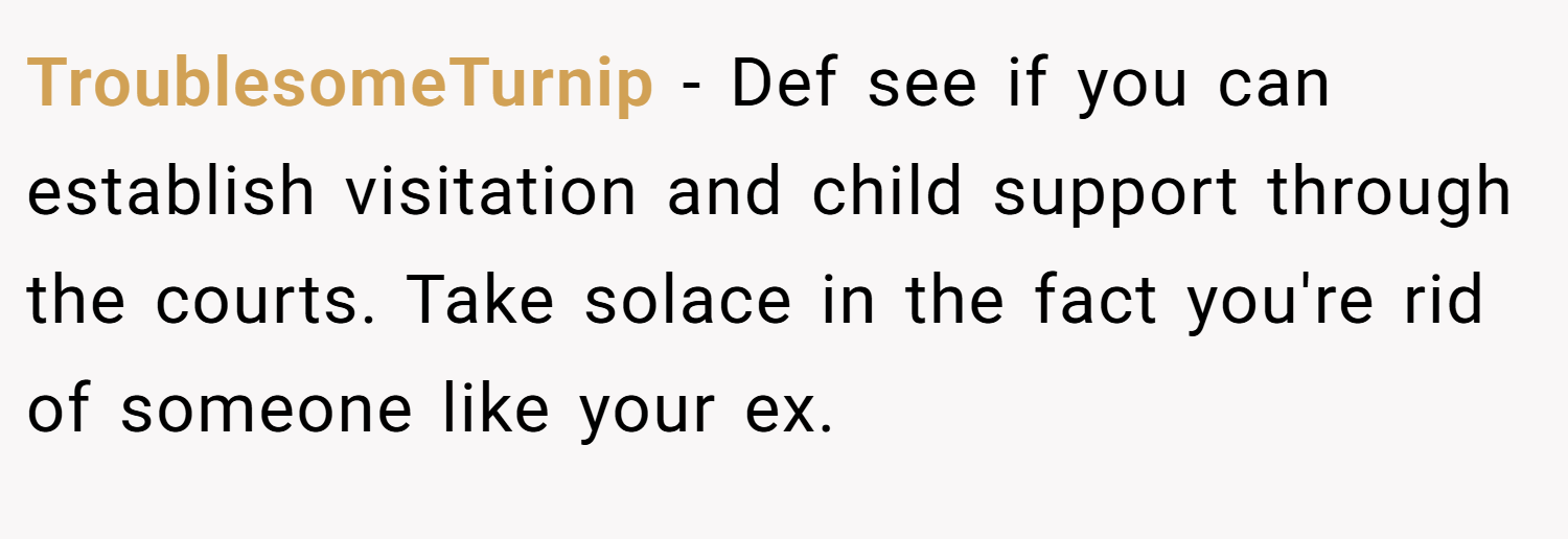 TroublesomeTurnip − Def see if you can establish visitation and child support through the courts. Take solace in the fact you're rid of someone like your ex.