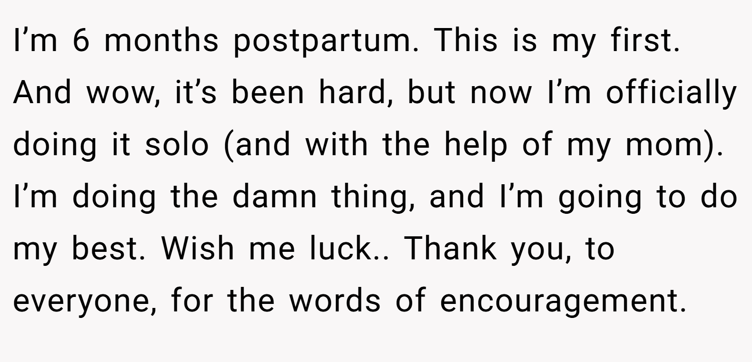 I’m 6 months postpartum. This is my first. And wow, it’s been hard, but now I’m officially doing it solo (and with the help of my mom). I’m doing the damn thing, and I’m going to do my best. Wish me luck.. Thank you, to everyone, for the words of encouragement.