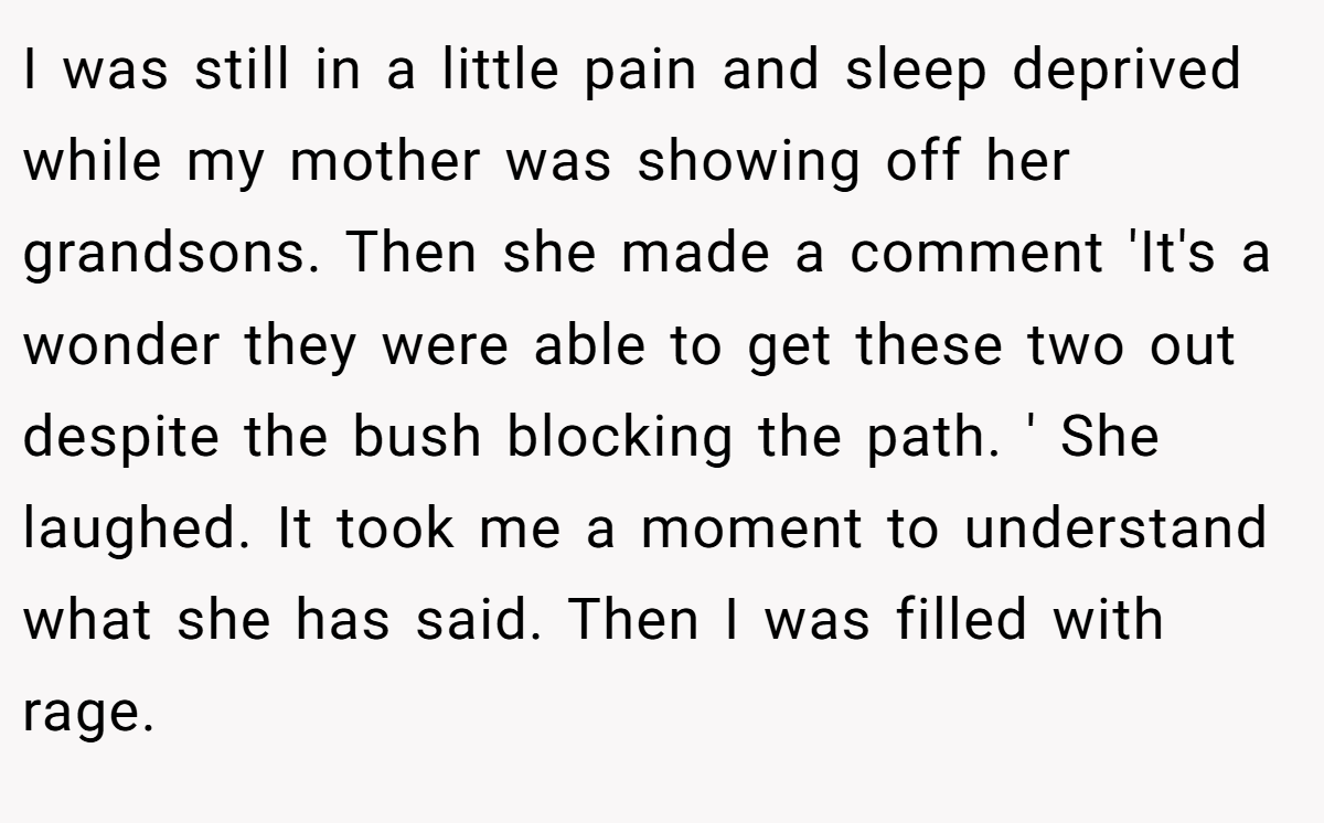 I was still in a little pain and sleep deprived while my mother was showing off her grandsons. Then she made a comment 'It's a wonder they were able to get these two out despite the bush blocking the path. ' She laughed. It took me a moment to understand what she has said. Then I was filled with rage.