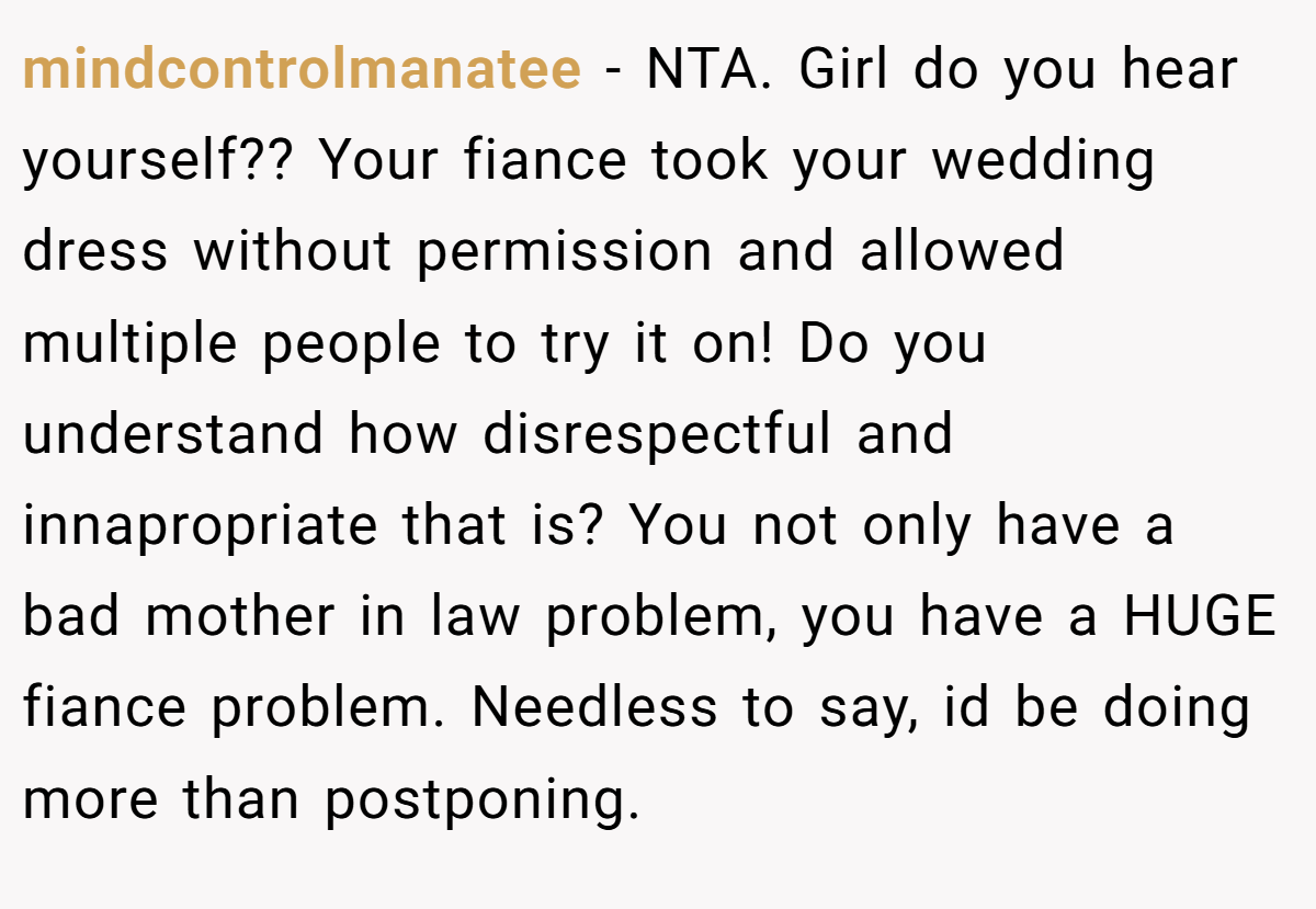 mindcontrolmanatee − NTA. Girl do you hear yourself?? Your fiance took your wedding dress without permission and allowed multiple people to try it on! Do you understand how disrespectful and innapropriate that is? You not only have a bad mother in law problem, you have a HUGE fiance problem. Needless to say, id be doing more than postponing.