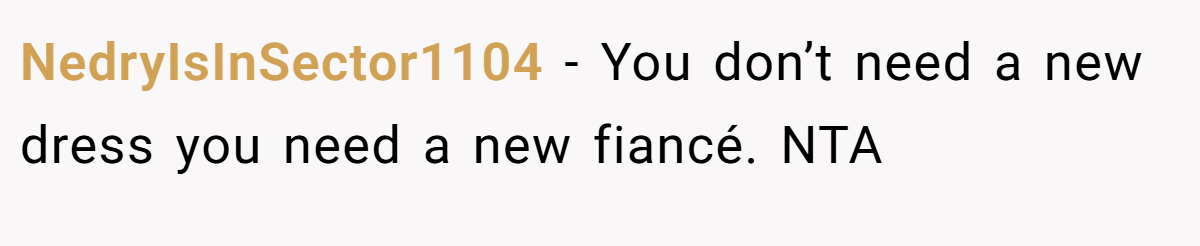 NedryIsInSector1104 − You don’t need a new dress you need a new fiancé. NTA