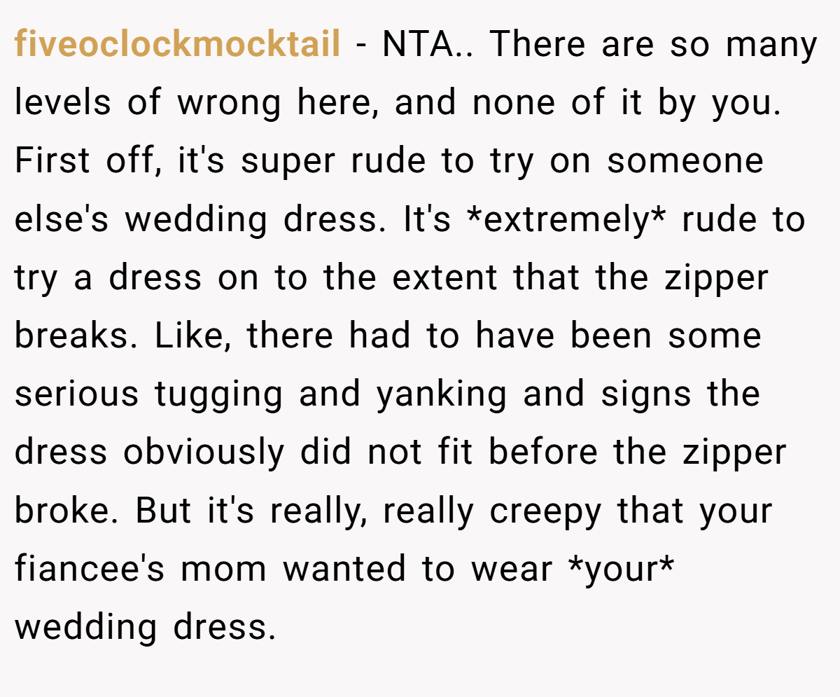 fiveoclockmocktail − NTA.. There are so many levels of wrong here, and none of it by you. First off, it's super rude to try on someone else's wedding dress. It's *extremely* rude to try a dress on to the extent that the zipper breaks. Like, there had to have been some serious tugging and yanking and signs the dress obviously did not fit before the zipper broke. But it's really, really creepy that your fiancee's mom wanted to wear *your* wedding dress.
