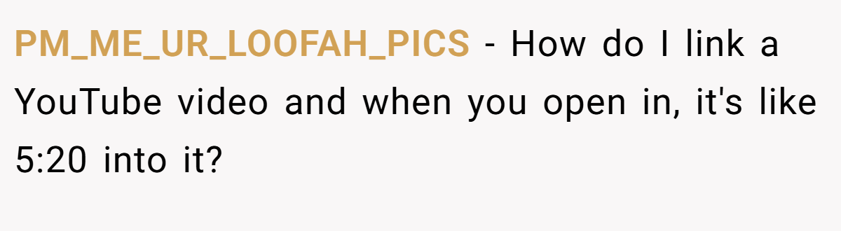 PM_ME_UR_LOOFAH_PICS − How do I link a YouTube video and when you open in, it's like 5:20 into it?