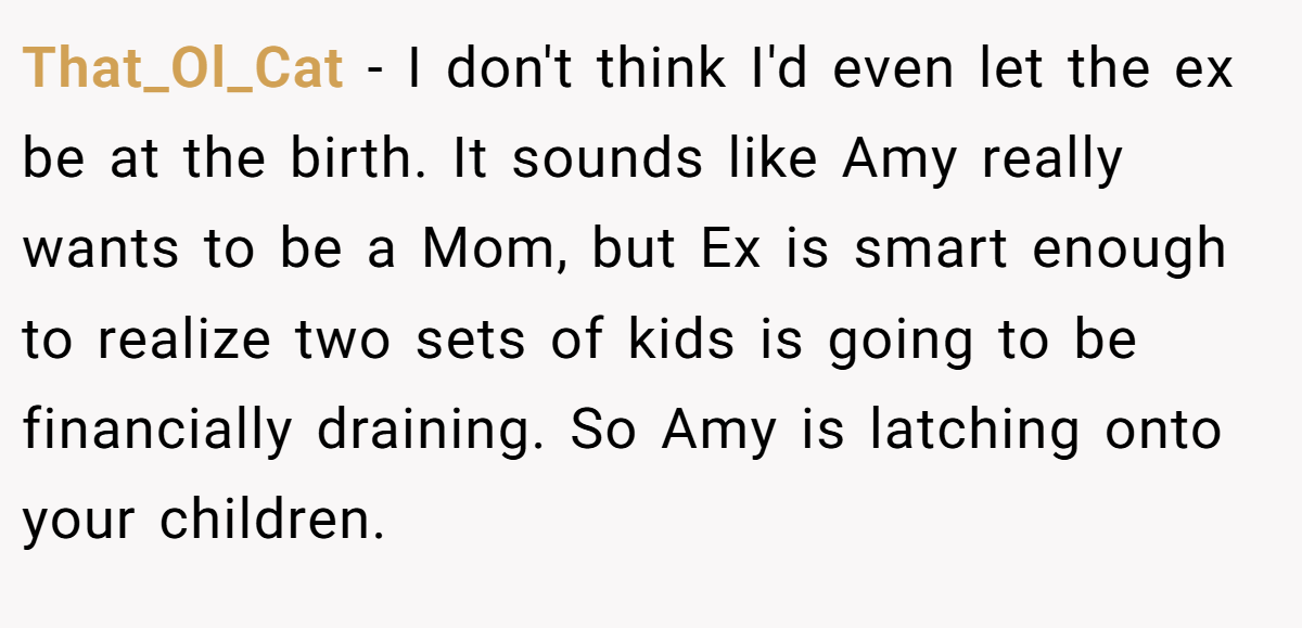 That_Ol_Cat − I don't think I'd even let the ex be at the birth. It sounds like Amy really wants to be a Mom, but Ex is smart enough to realize two sets of kids is going to be financially draining. So Amy is latching onto your children.