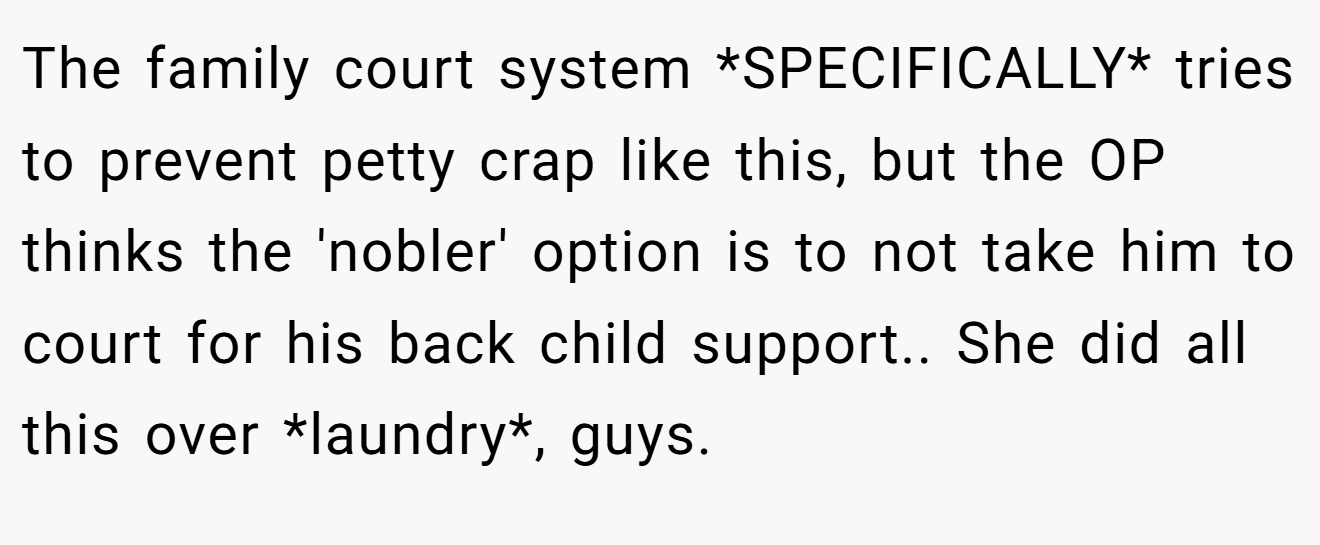 The family court system *SPECIFICALLY* tries to prevent petty crap like this, but the OP thinks the 'nobler' option is to not take him to court for his back child support.. She did all this over *laundry*, guys.