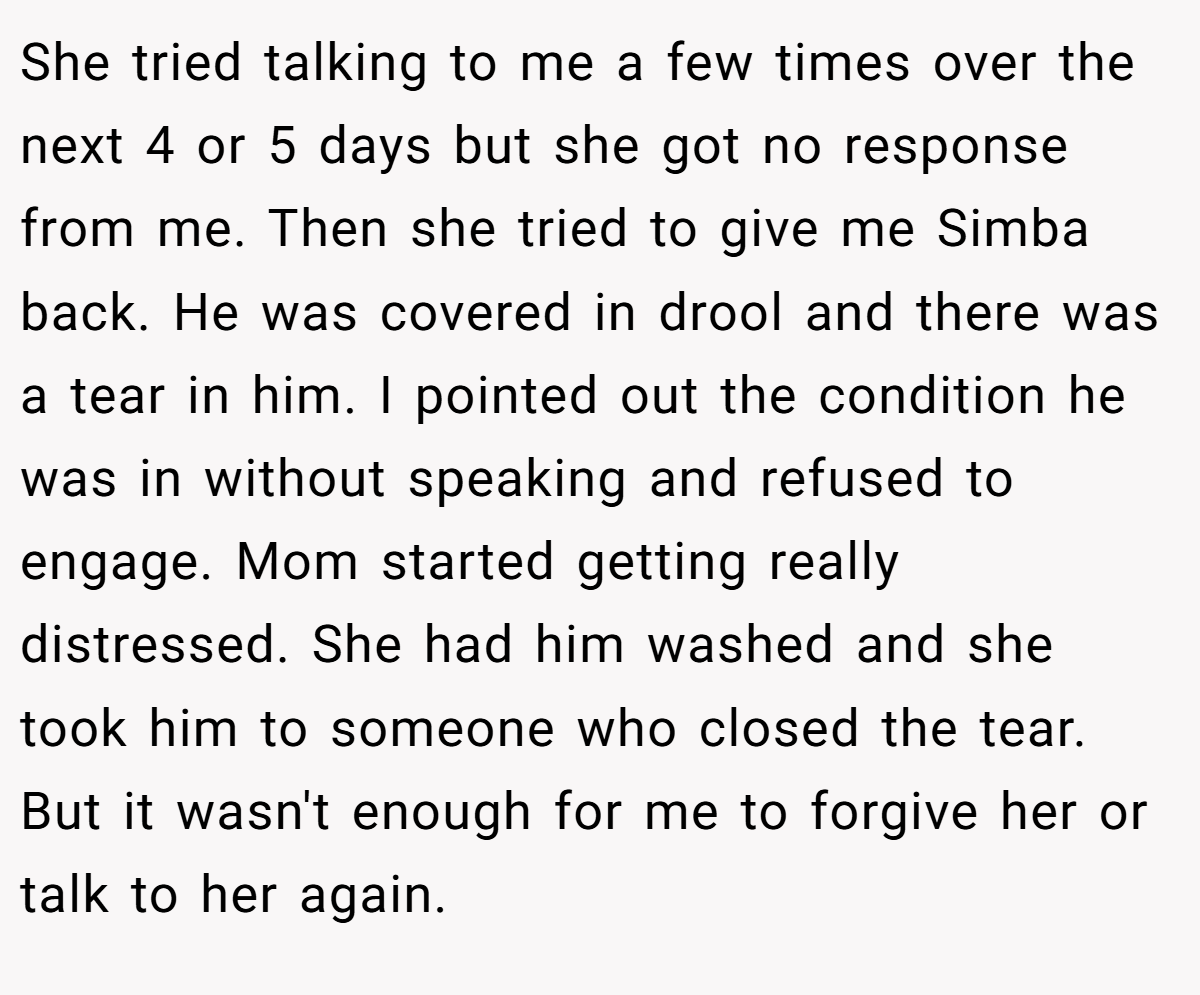 She tried talking to me a few times over the next 4 or 5 days but she got no response from me. Then she tried to give me Simba back. He was covered in drool and there was a tear in him. I pointed out the condition he was in without speaking and refused to engage. Mom started getting really distressed. She had him washed and she took him to someone who closed the tear. But it wasn't enough for me to forgive her or talk to her again.