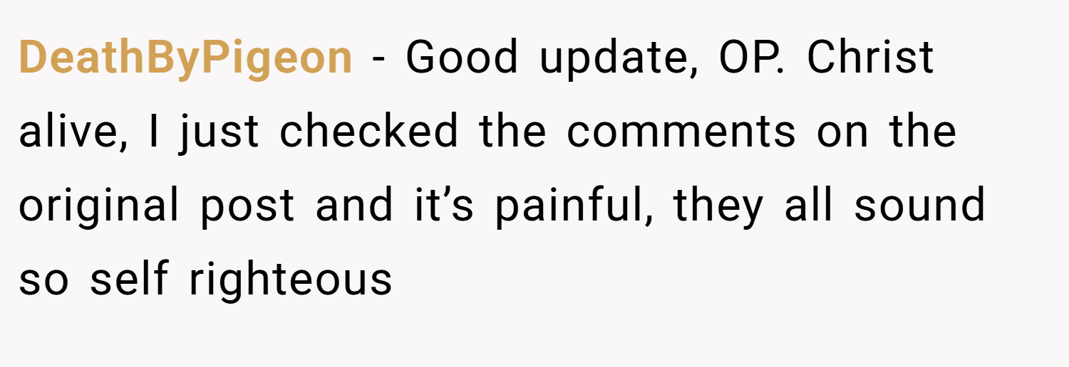 DeathByPigeon − Good update, OP. Christ alive, I just checked the comments on the original post and it’s painful, they all sound so self righteous