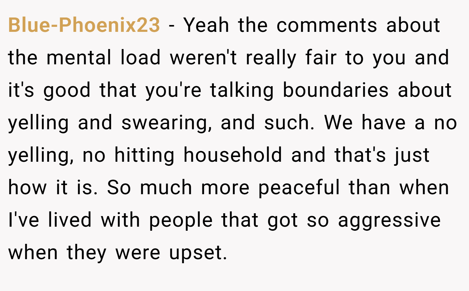 Blue-Phoenix23 − Yeah the comments about the mental load weren't really fair to you and it's good that you're talking boundaries about yelling and swearing, and such. We have a no yelling, no hitting household and that's just how it is. So much more peaceful than when I've lived with people that got so aggressive when they were upset.