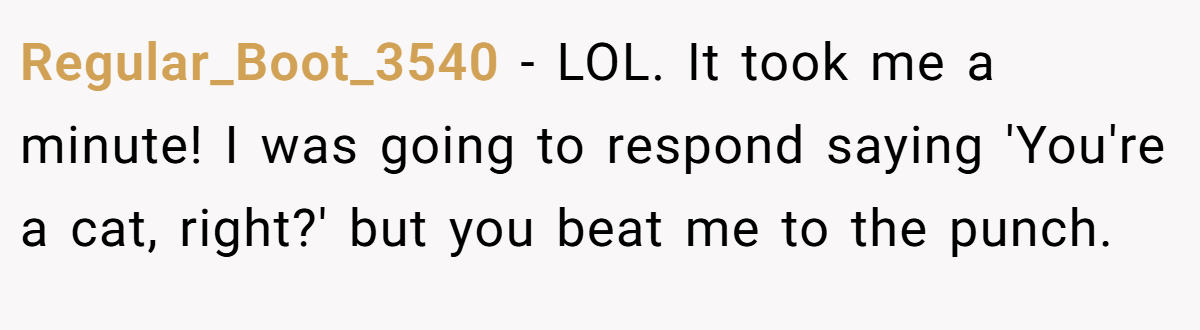 Regular_Boot_3540 − LOL. It took me a minute! I was going to respond saying 'You're a cat, right?' but you beat me to the punch.